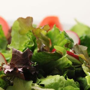 Lettuce Other Heatwave Blend - Bloom