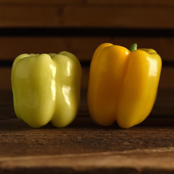 Pepper Spotlight - Bloom