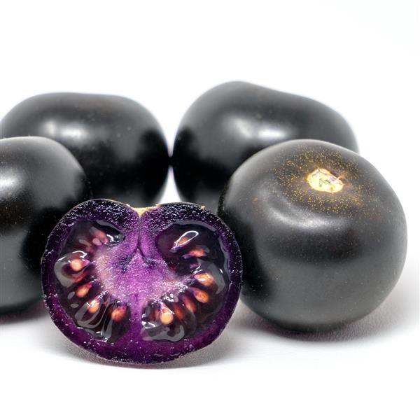 Tomato Empress - Bloom