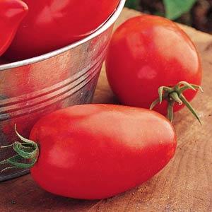 Tomato Big Mama - Bloom