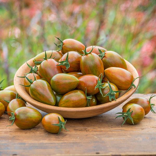 Tomato Other Shimmer - Container