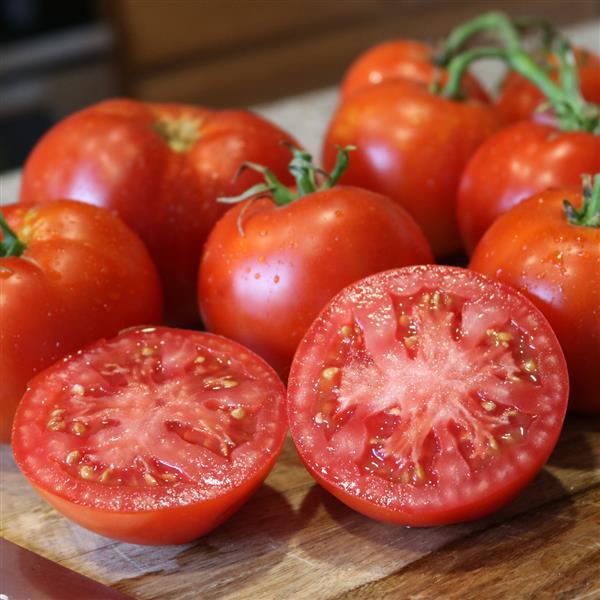 Tomato Other Better Boy Plus - Container