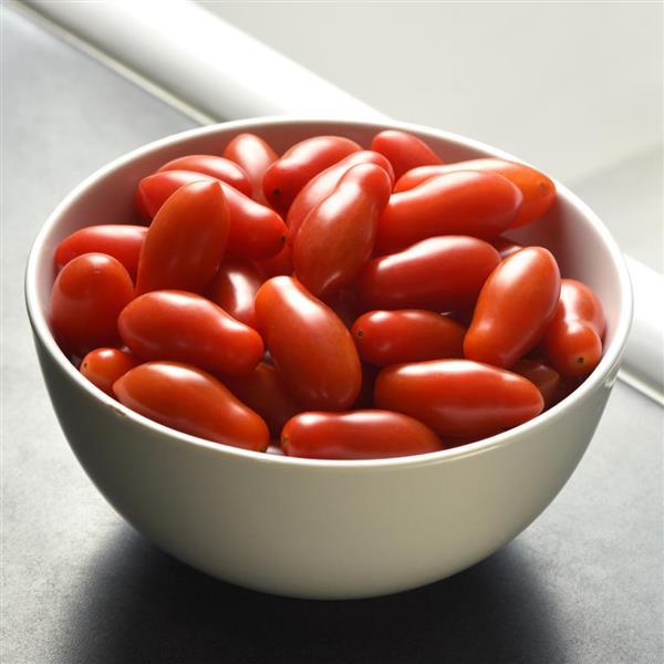 Tomato Other Ruby Dipper - Container
