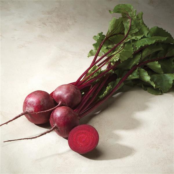 Beet Merlin - Bloom