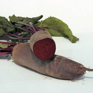Beet Alto - Bloom