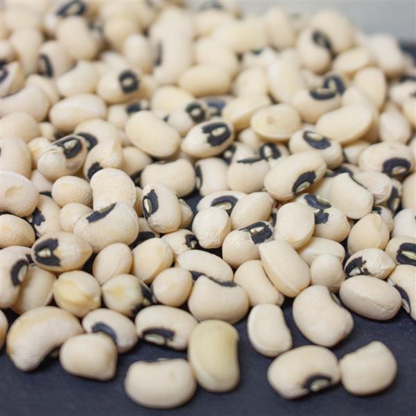 Bean California Black Eye - Bloom